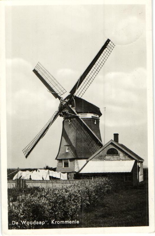 kaart