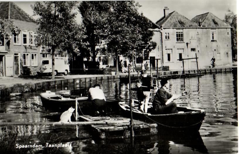 kaart