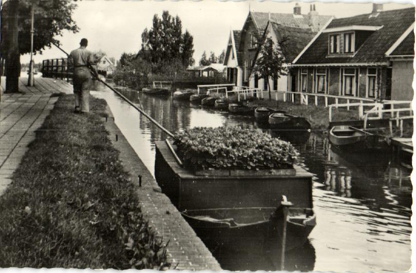 kaart