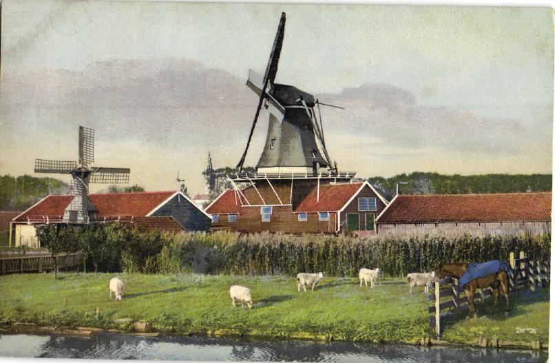 kaart