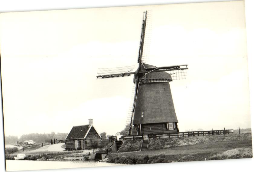 kaart