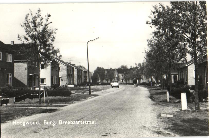 kaart