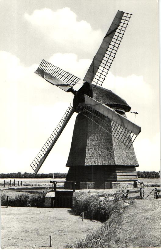 kaart