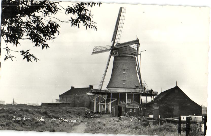 kaart