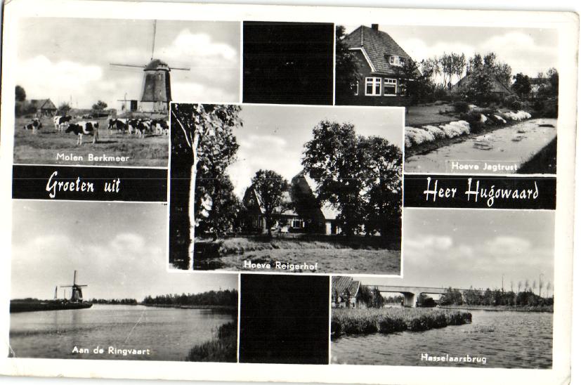kaart