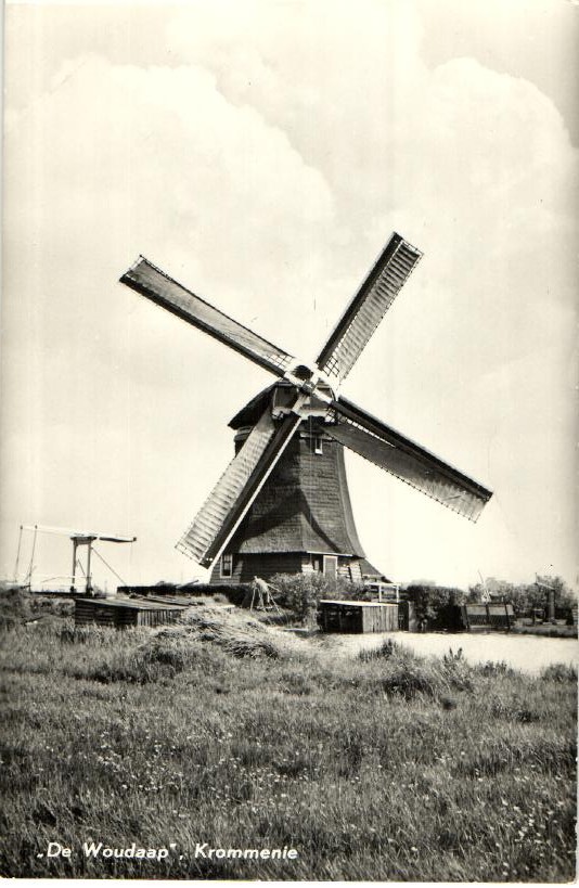 kaart