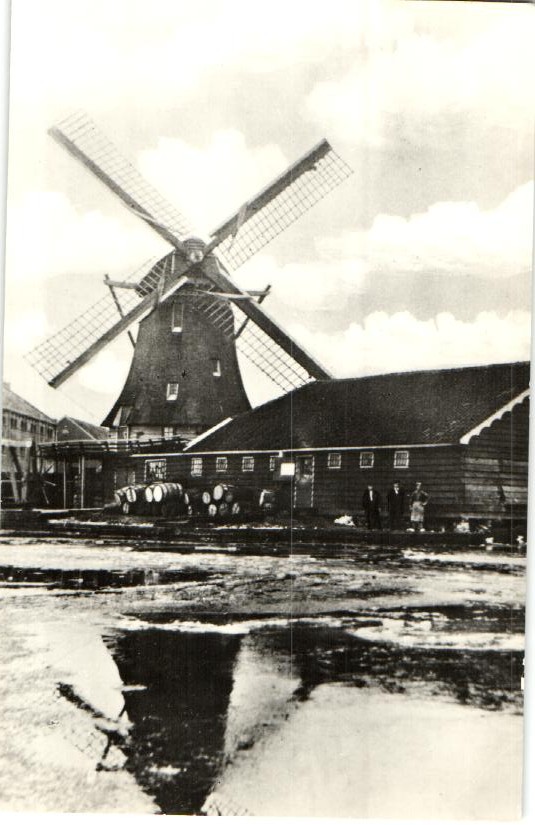 kaart