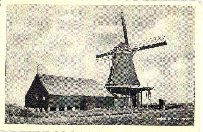 kaart