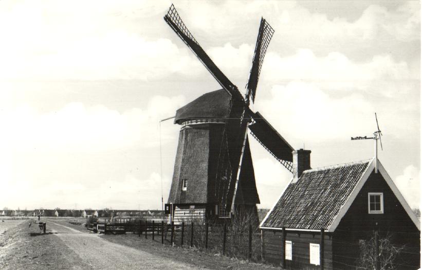 kaart