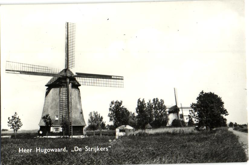 kaart