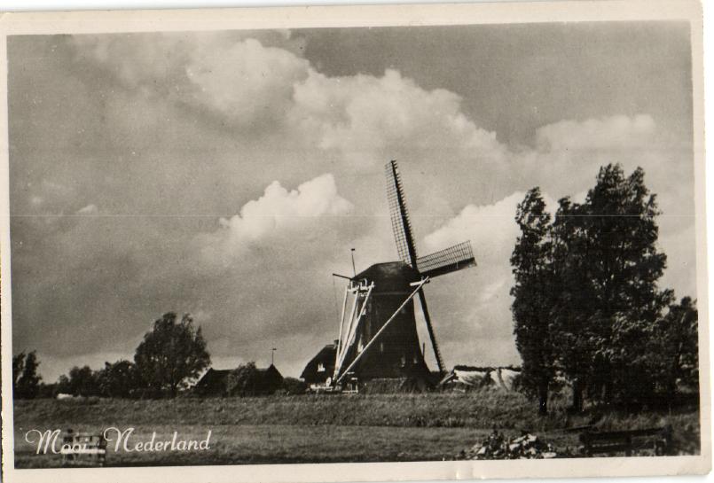 kaart