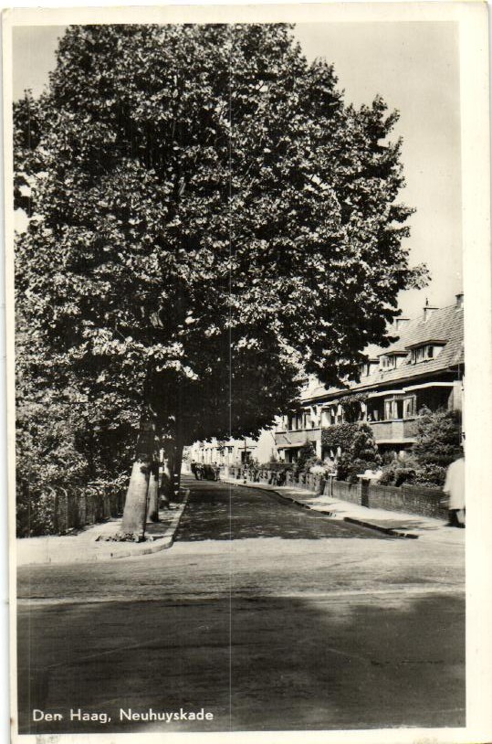 kaart