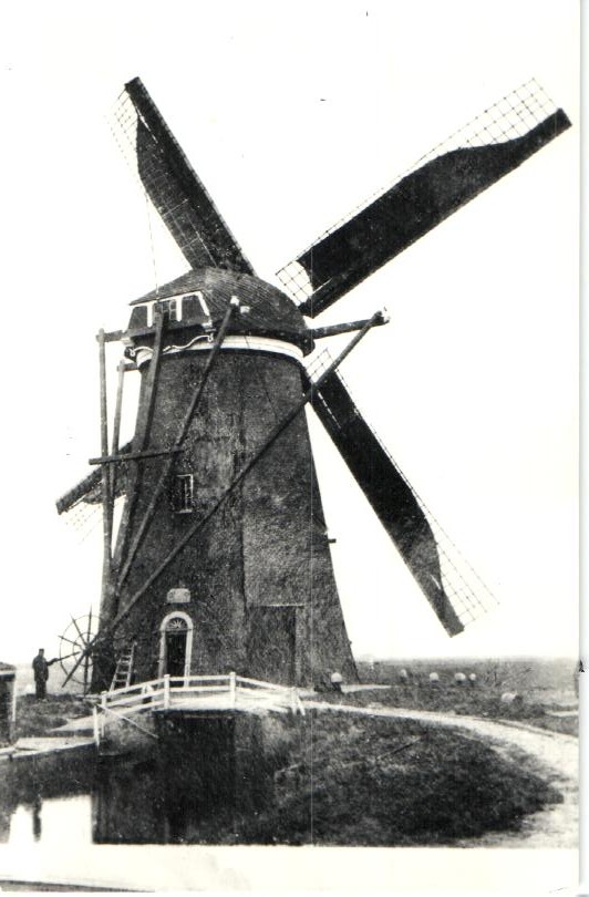 kaart