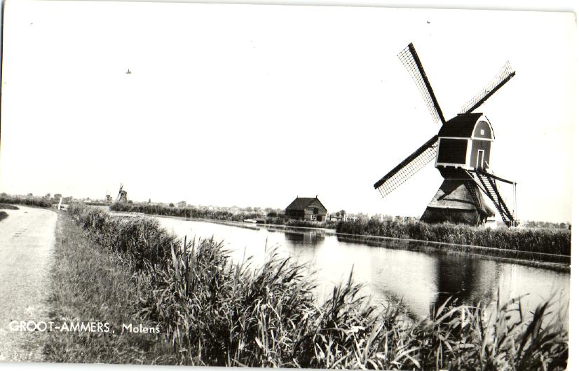 kaart