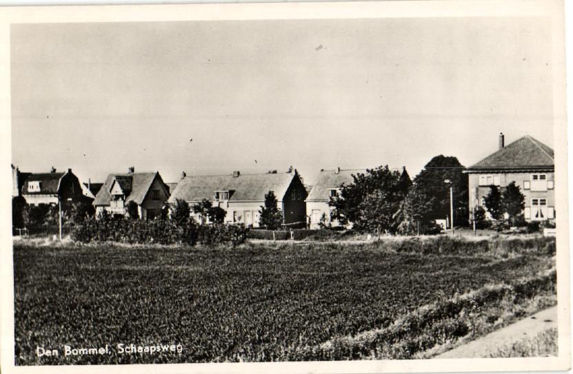 kaart