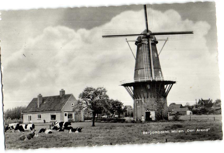 kaart