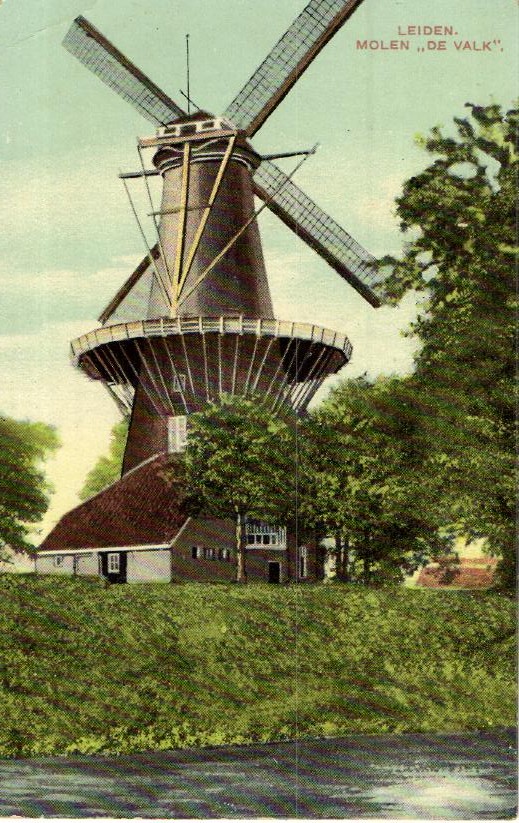 kaart