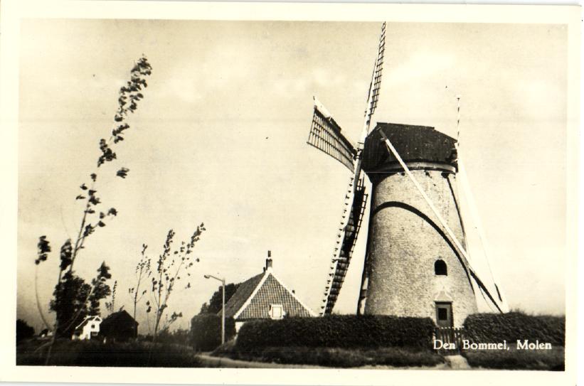 kaart