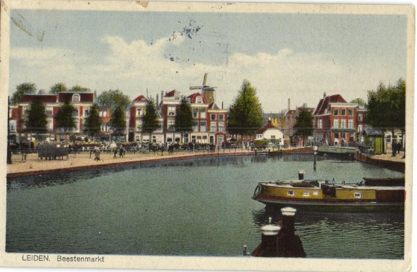 kaart