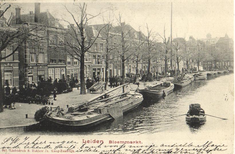 kaart