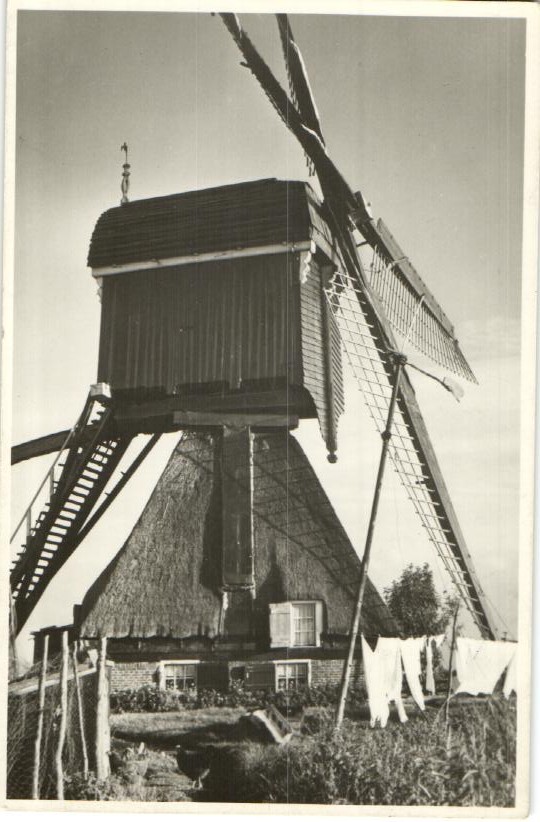kaart