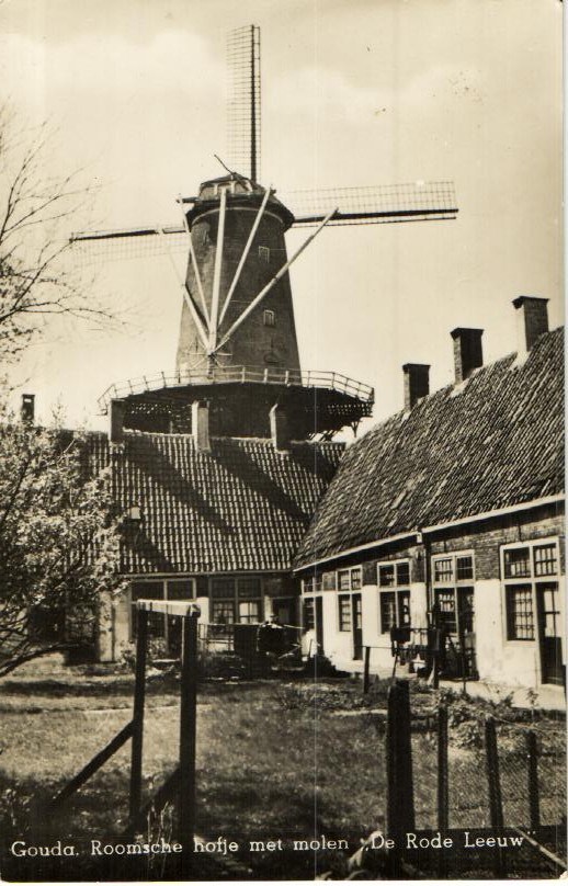 kaart