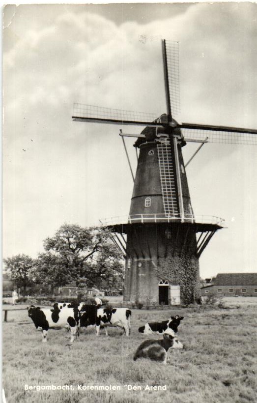 kaart