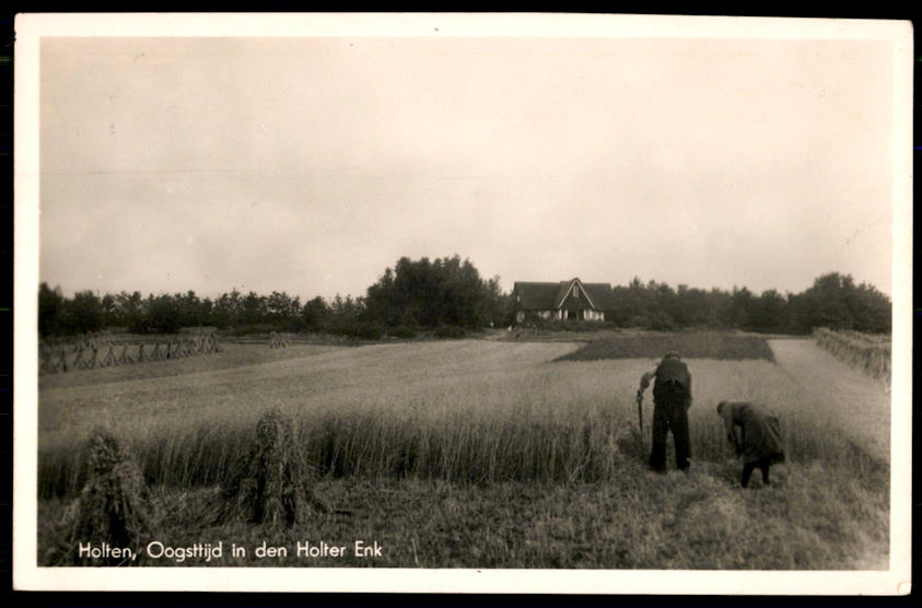 kaart