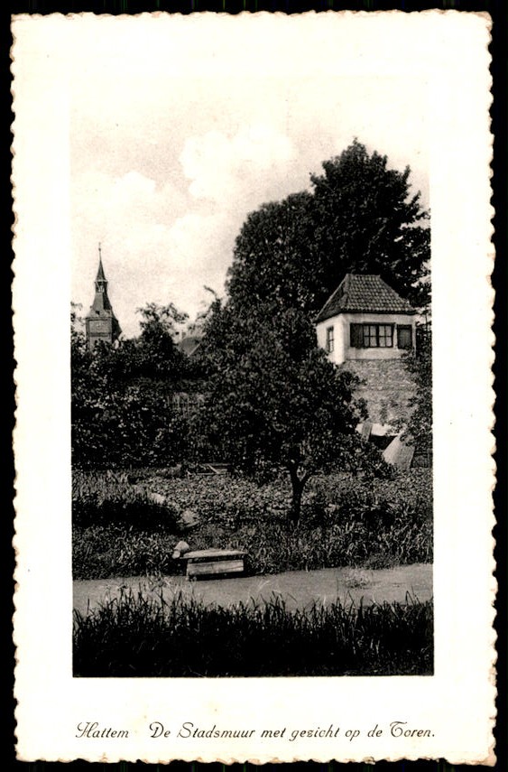 kaart