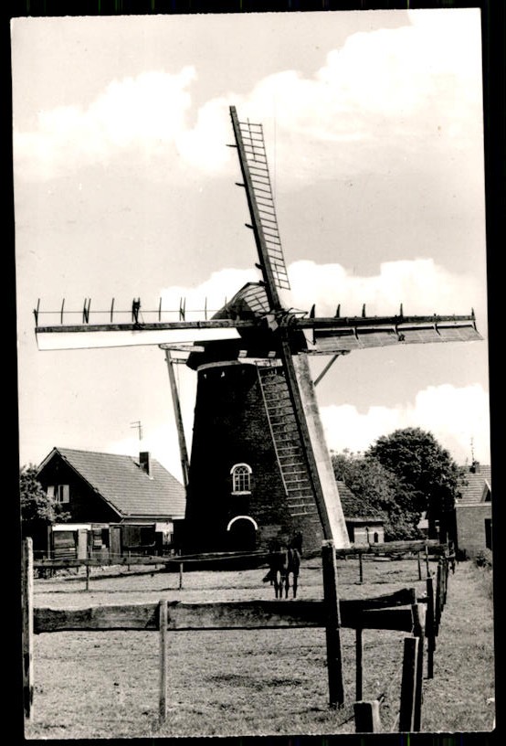 kaart