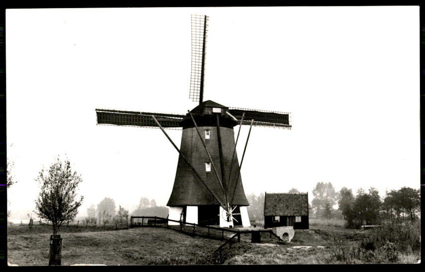 kaart