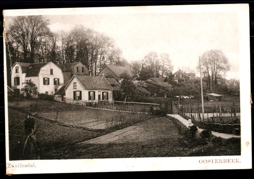 kaart