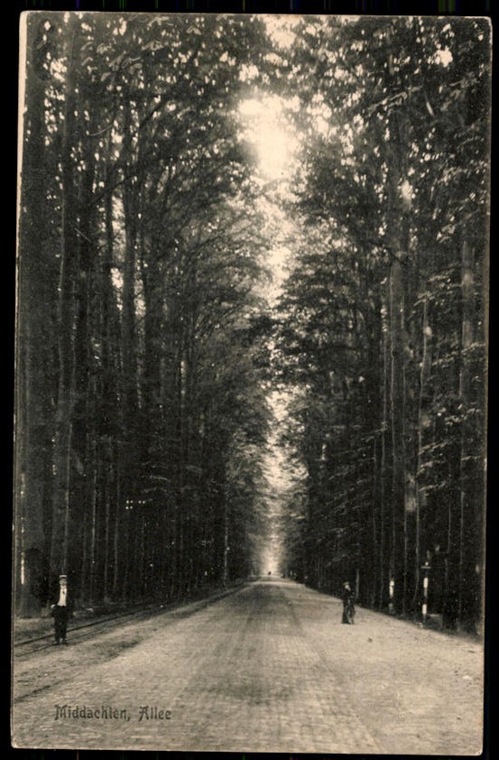 kaart