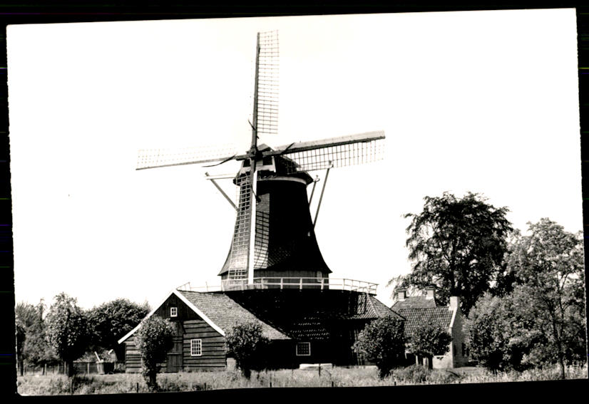 kaart