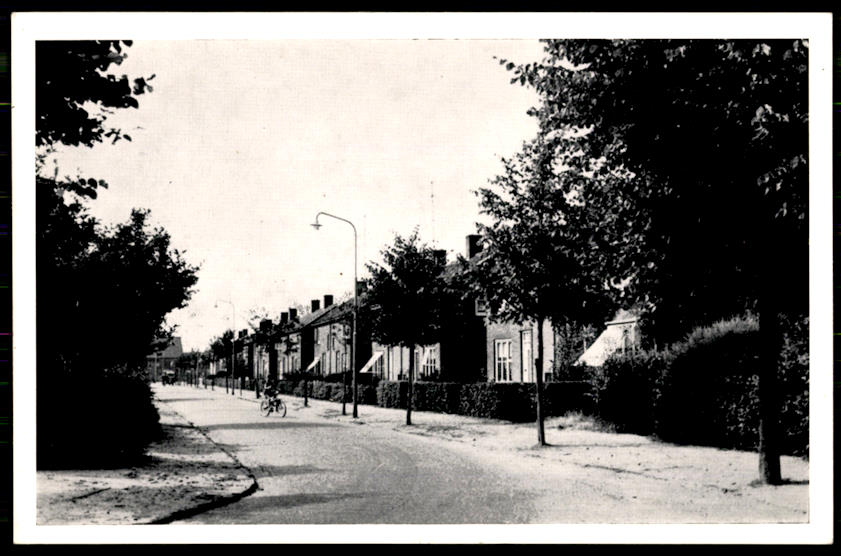 kaart