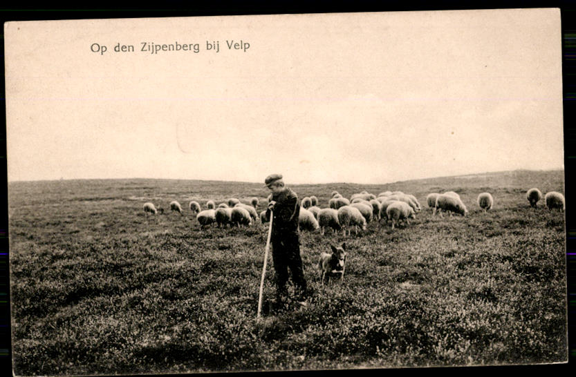 kaart