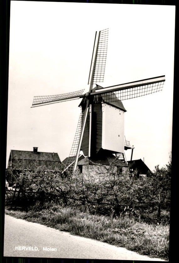 kaart