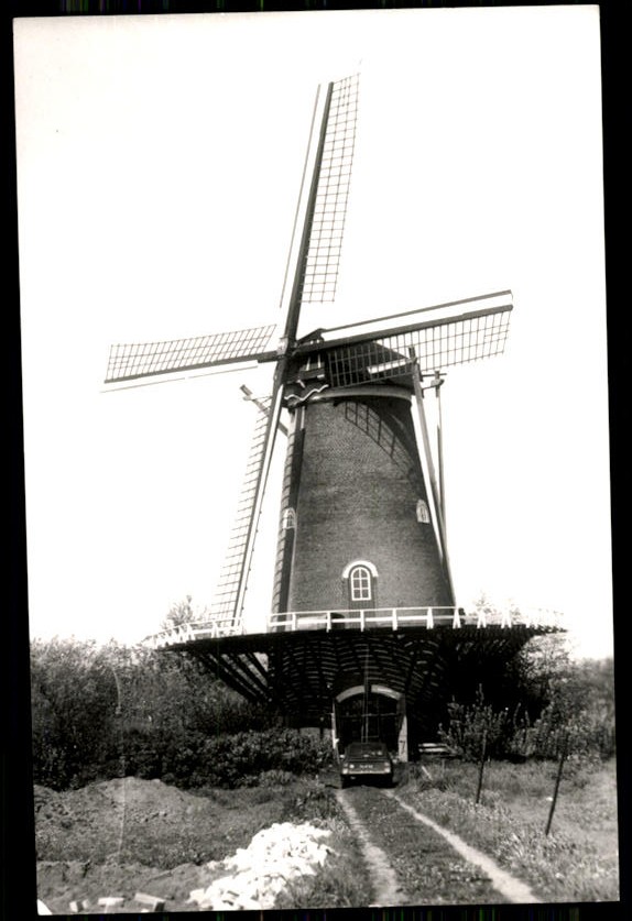 kaart