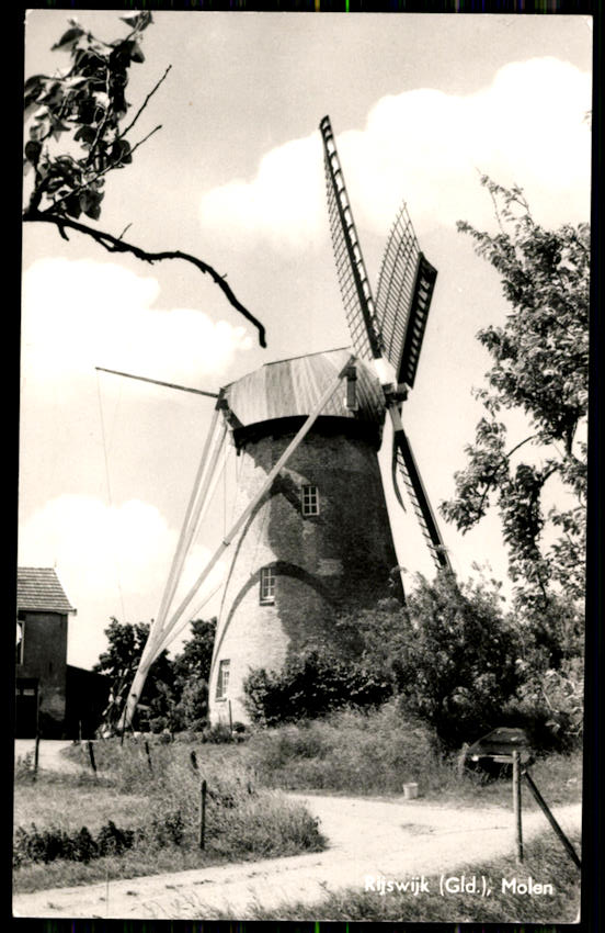 kaart