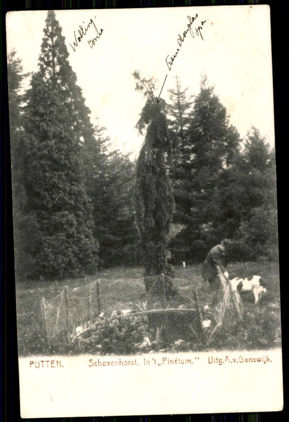 gelderland