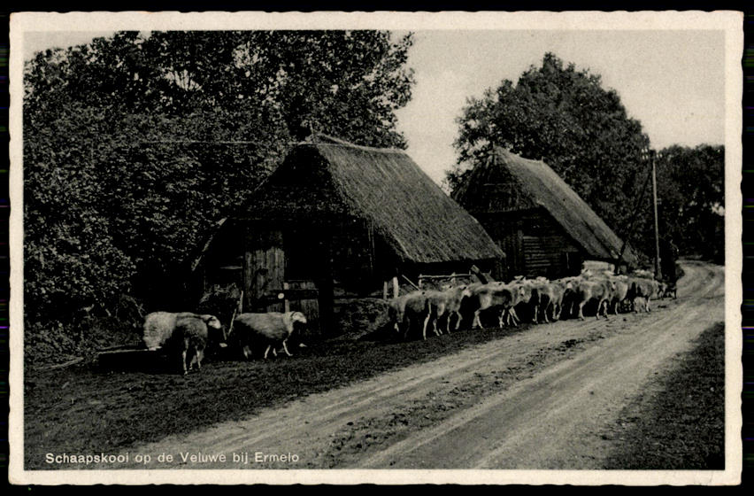 kaart