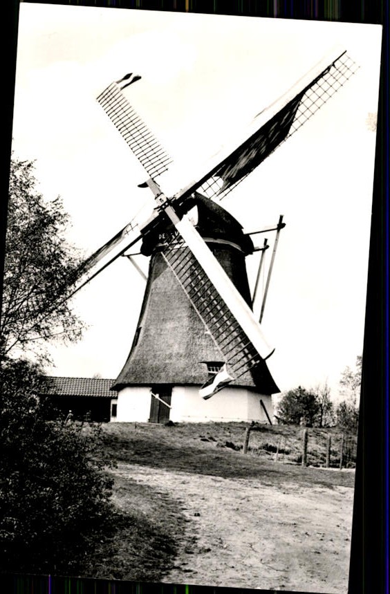 kaart