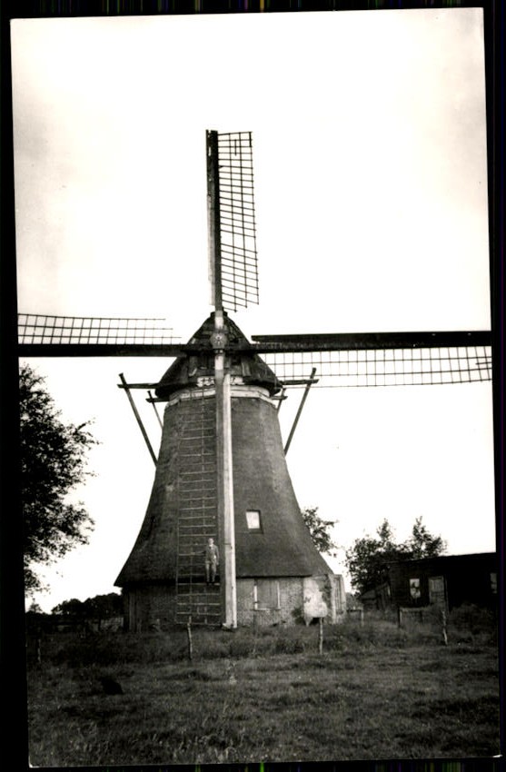 kaart