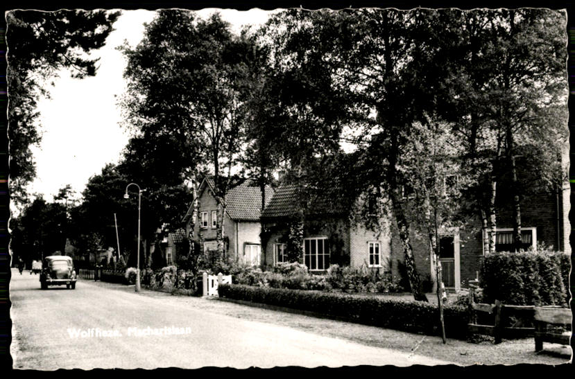 kaart