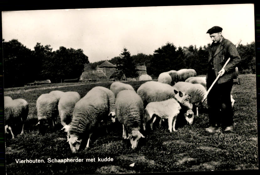 kaart