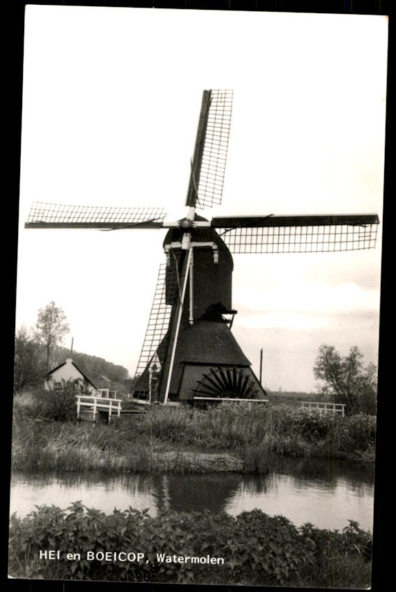 kaart