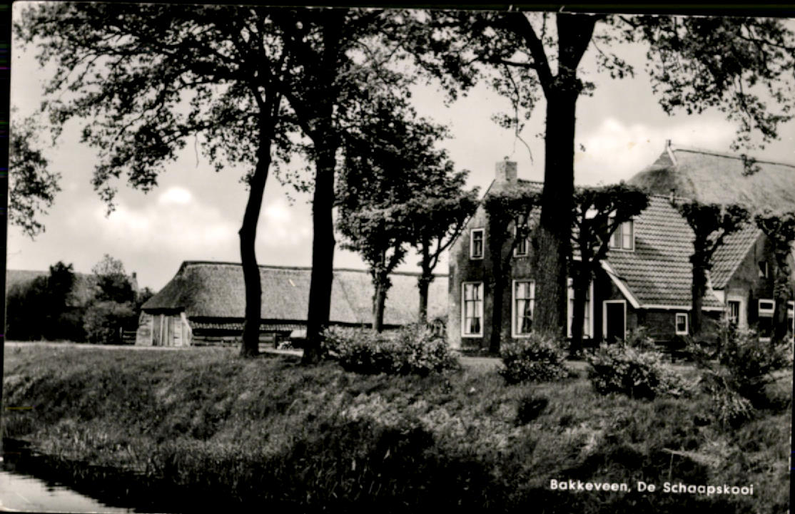 kaart
