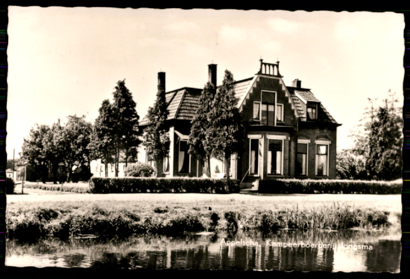 kaart