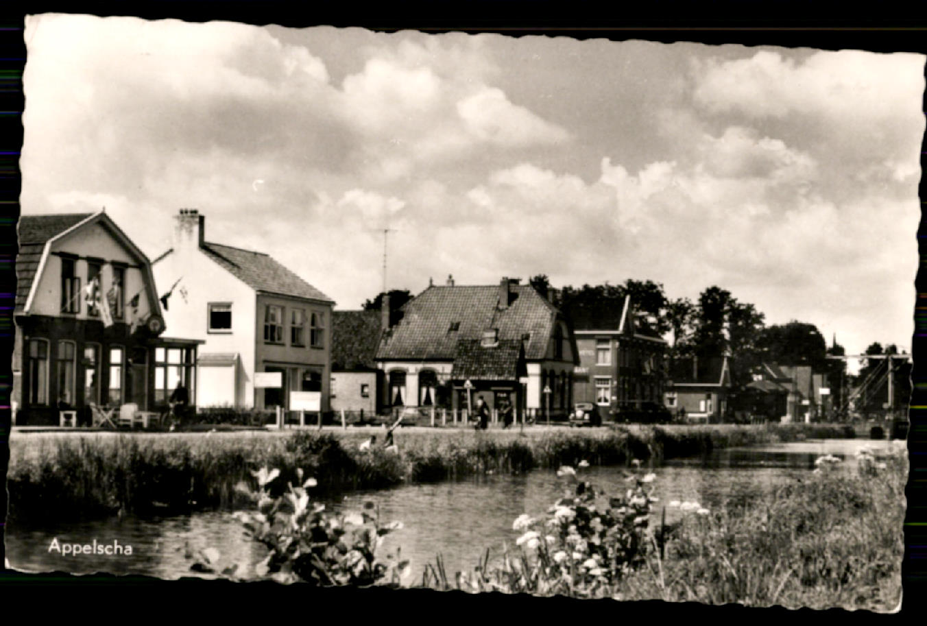 kaart