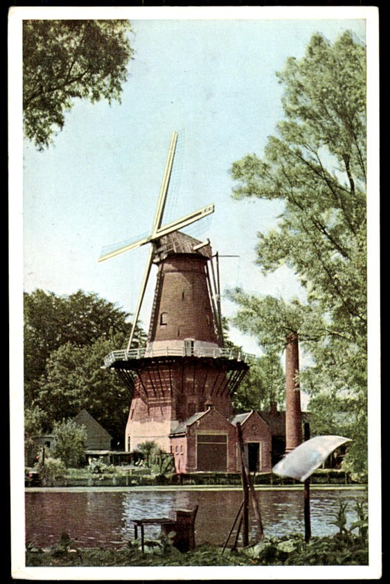 kaart